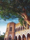 A Timeless Building and Majestic Tree in a Nostalgic Setting.