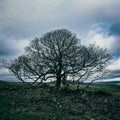 Timeless Elegance of Cave Dale - Peak District Vistas