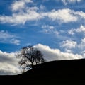 Timeless Elegance of Cave Dale - Peak District Vistas