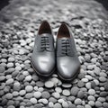 Timeless Footsteps: Gray Men's Shoes