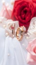 Timeless love Wedding rings on white and red roses backdrop Royalty Free Stock Photo