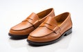 Timeless Men's Penny Loafers on White -Generative Ai