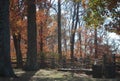 Timeless - Split Rail Fence in Woods