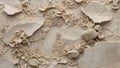 Timeless Treasures: Fossilized Limestone Texture. AI generate