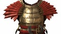 Timeless Valor: Roman Soldier\'s Breastplate in Riveting Monochrome