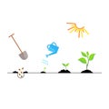 Timeline infographic of planting tree process Royalty Free Stock Photo