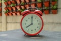 Timeliness concept red round clock at 8 o`clock with vertical garden background