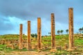 Timgad, ruins of a Roman-Berber city in Algeria. Royalty Free Stock Photo