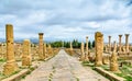 Timgad, ruins of a Roman-Berber city in Algeria. Royalty Free Stock Photo