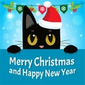 Timid Cat. Happy New Year Card With Cat Vector. Christmas Kitty With Red Santa Hat. Royalty Free Stock Photo