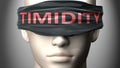 Timidity can make things harder to see or makes us blind to the reality - pictured as word Timidity on a blindfold to symbolize Royalty Free Stock Photo