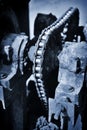 Timing chain Royalty Free Stock Photo