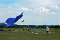 TIMISOARA, ROMANIA- 06.01.2018 People lift colorful different shape of kites up in the air