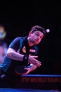 Timo Boll from Grermany on serve Royalty Free Stock Photo