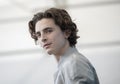Timothee Chalamet at the 76 Venice International Film Festival Royalty Free Stock Photo