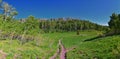 Timpanogos back Primrose overlook Horse Spring hiking trail views Wasatch Rocky Mountains, Utah.
