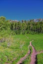 Timpanogos back Primrose overlook Horse Spring hiking trail views Wasatch Rocky Mountains, Utah.