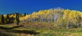 Timpanogos back views from hiking trail, Willow Hollow Ridge, Pine Hollow Wasatch Rocky Mountains, Utah. USA