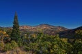 Timpanogos back views from hiking trail, Willow Hollow Ridge, Pine Hollow Wasatch Rocky Mountains, Utah. USA