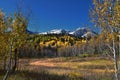 Timpanogos Mountain Peak from Willow Pine Hollow Ridge Trail hiking view Wasatch Rocky Mountains, Utah. USA Royalty Free Stock Photo