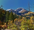 Timpanogos Mountain Peak from Willow Pine Hollow Ridge Trail hiking view Wasatch Rocky Mountains, Utah. USA Royalty Free Stock Photo