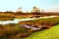 tin boats in a Louisiana swamp Royalty Free Stock Photo