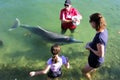 Australian family feed Australian Humpback Dolphins Queensland Australia