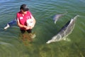 Local volunteer feeding Australian Humpback Dolphins Queensland Australia