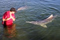 Local volunteer play with Australian Humpback Dolphins in Snapper Creek Queensland Australia