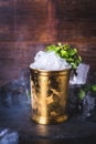 A tin can with ice is decorated with a sprig of mint. Royalty Free Stock Photo