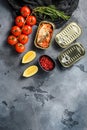 Tin can of mackerel, Scombridae opened and closed cans no label, with organic vegetables herbs and lemons  top view space for text Royalty Free Stock Photo