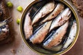 Tin can of sprats, sardines Royalty Free Stock Photo