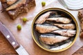 Tin can of sprats, sardines Royalty Free Stock Photo