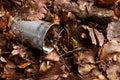 Tin can waste on forest floor closeup