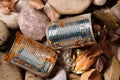 Tin can waste on pebble beach floor closeup Royalty Free Stock Photo