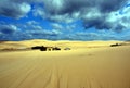 Tin City on Stockton beach