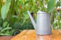 Tin garden watering can Royalty Free Stock Photo