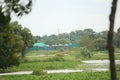 Tin set houses in the middle of the green forest. Royalty Free Stock Photo