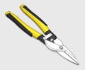 Tin Snips Royalty Free Stock Photo