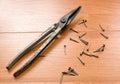 Tin snips and nails Royalty Free Stock Photo