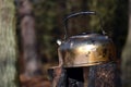 Tin tea kettle stands on spent swedish fire torch in forest, fallen leaves nature background, sunny day Royalty Free Stock Photo