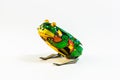 Tin Toy Frog Royalty Free Stock Photo