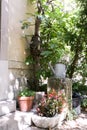 Tin watering can and plant pots with flowers on the steps Royalty Free Stock Photo