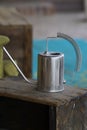 Tin watering can Royalty Free Stock Photo