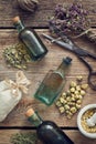 Tincture bottles, assortment of dry healthy herbs, mortar, sachet, scissors. Herbal medicine. Top view. Royalty Free Stock Photo