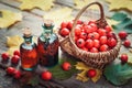 Tincture bottles of hawthorn berries, ripe thorn apples Royalty Free Stock Photo