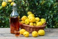 Tincture of quince and fruit on a wooden table.