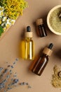 Tinctures in bottles and medicinal herbs on pale brown background, flat lay Royalty Free Stock Photo