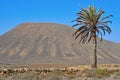 Tindaya Mountain in La Oliva, Fuerteventura Royalty Free Stock Photo