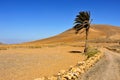 Tindaya Mountain in La Oliva, Fuerteventura, Canary Islands, Spa